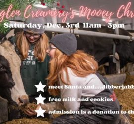 Mooey Christmas Barn Tour at Mistyglen Creamery