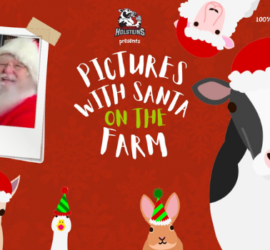 Pictures with Santa on the Farm