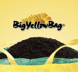 Big Yellow Bag – Give & Grow