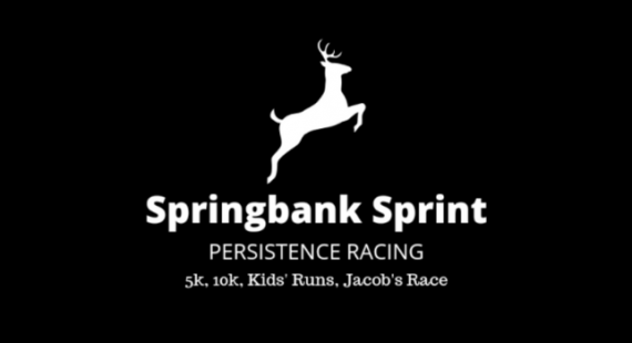 Persistence Racing Springbank Sprint