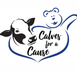Calves for a Cause