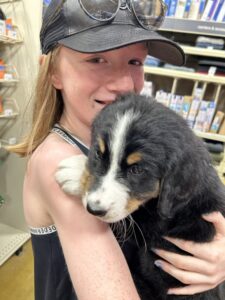 A child in a baseball hat holding a black and white puppy up to her shoulder.