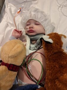 A child in a hospital bed wearing a shower cap, many instruments and cords attached, and two stuffies at his side.