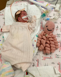 An infant in a gown and attached to many wires and tubes from hospital equipment lays in bed next to a knitted octopus.