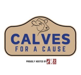 Calves for a Cause