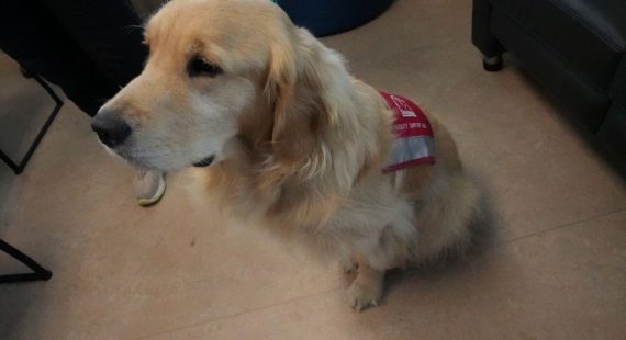 Born to Help Children’s Mental Health!